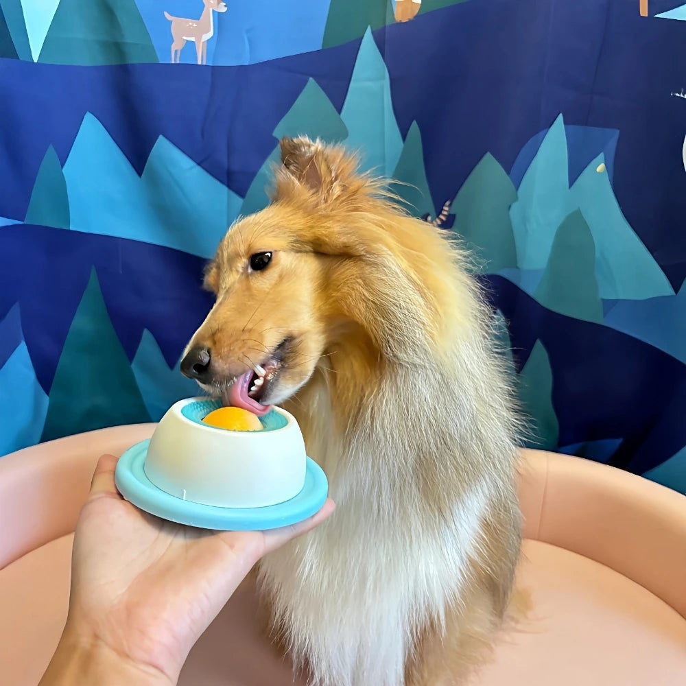 Fluffy dog licking treat from slow feeder bowl, perfect for pet essentials and interactive playtime.