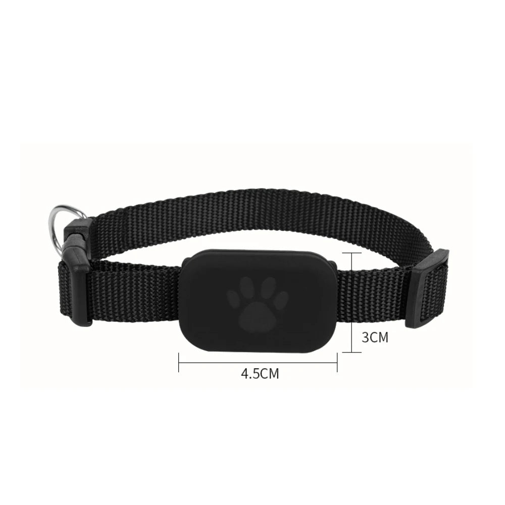 Black pet collar with paw print tag, 4.5cm x 3cm, for dogs or cats