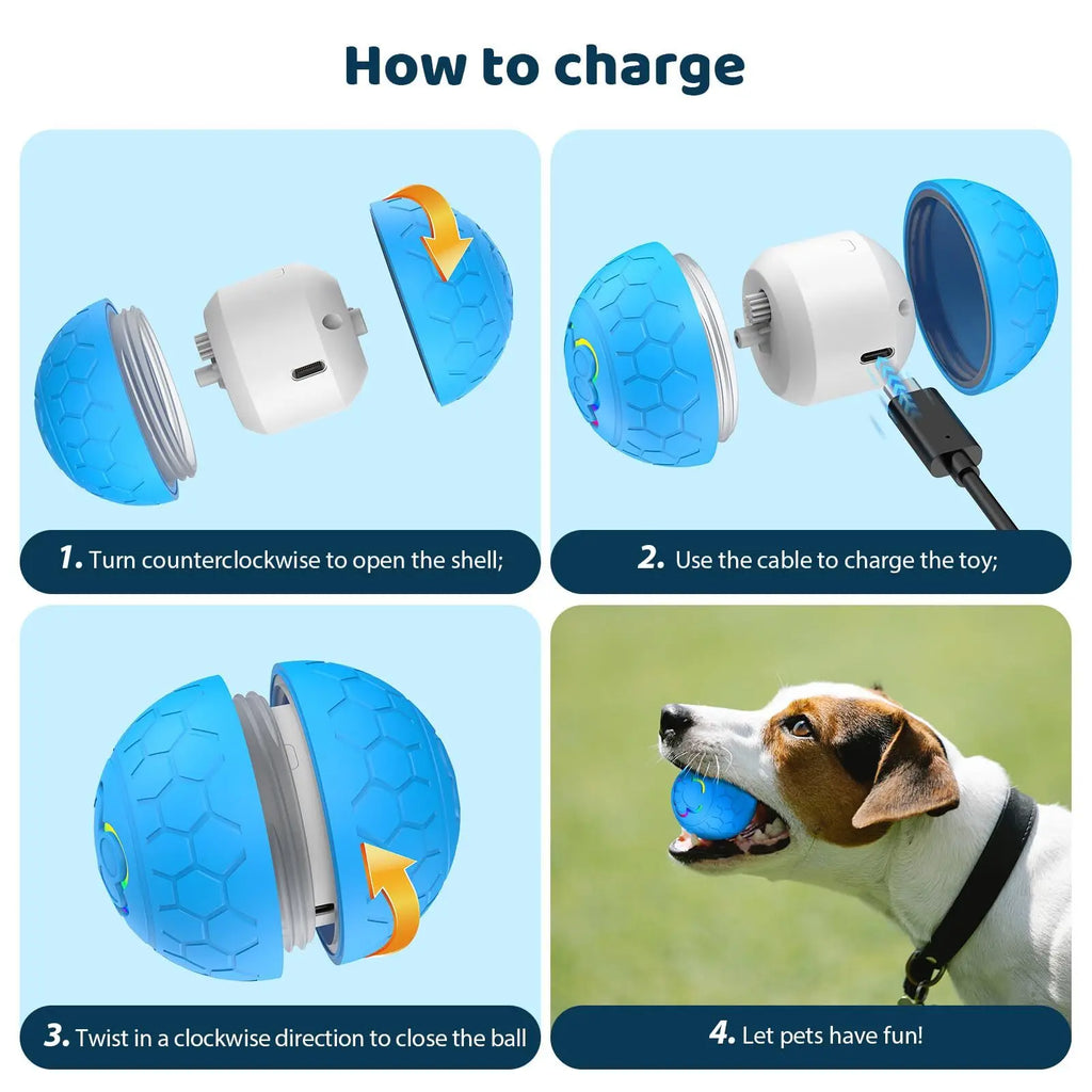 BounceBuddy Pro Interactive Pet Ball