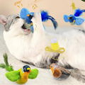 ChirpChase Feather Bird Toy