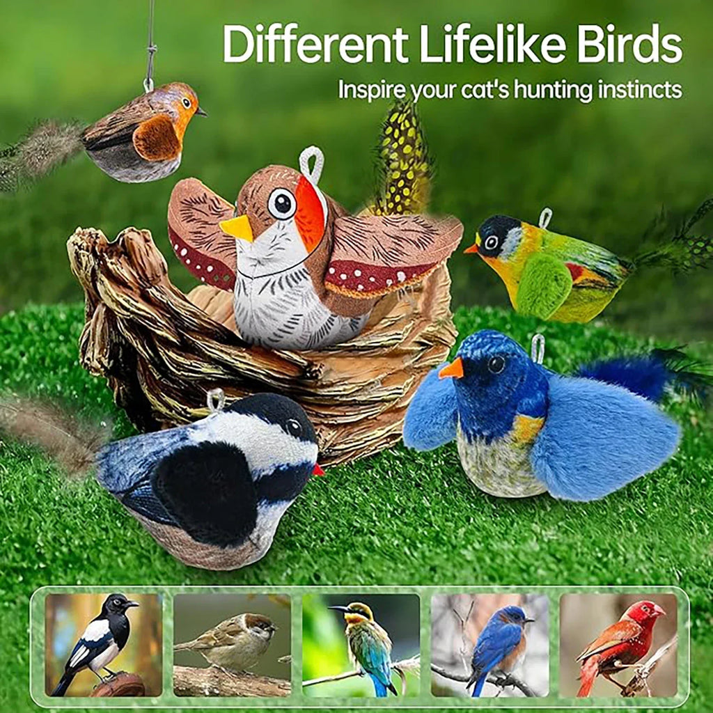 ChirpChase Feather Bird Toy