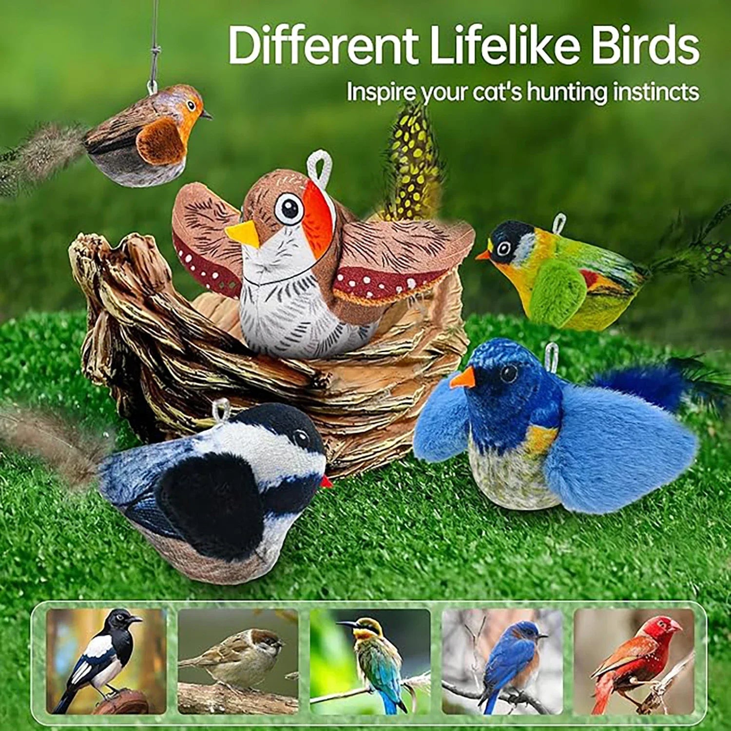 ChirpChase Feather Bird Toy