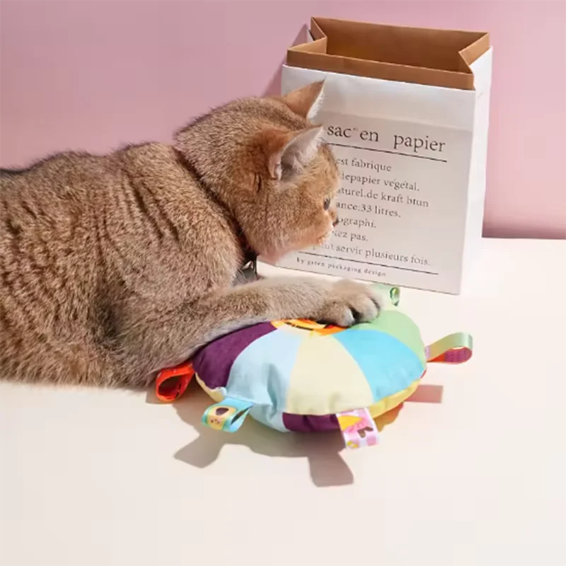 Cat playing with colorful plush toy near paper bag, pet essentials for playful feline fun